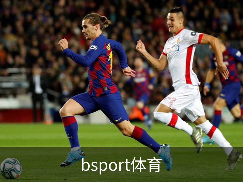 关于bsport体育